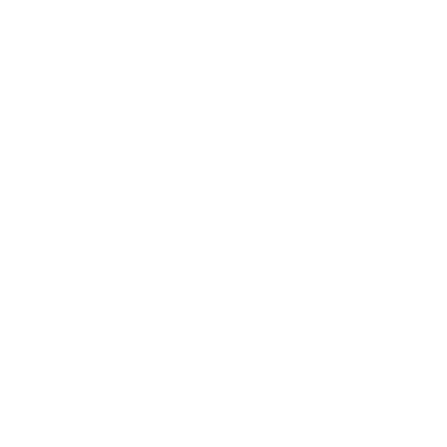 Engine Diagnostics & Check Engine Light